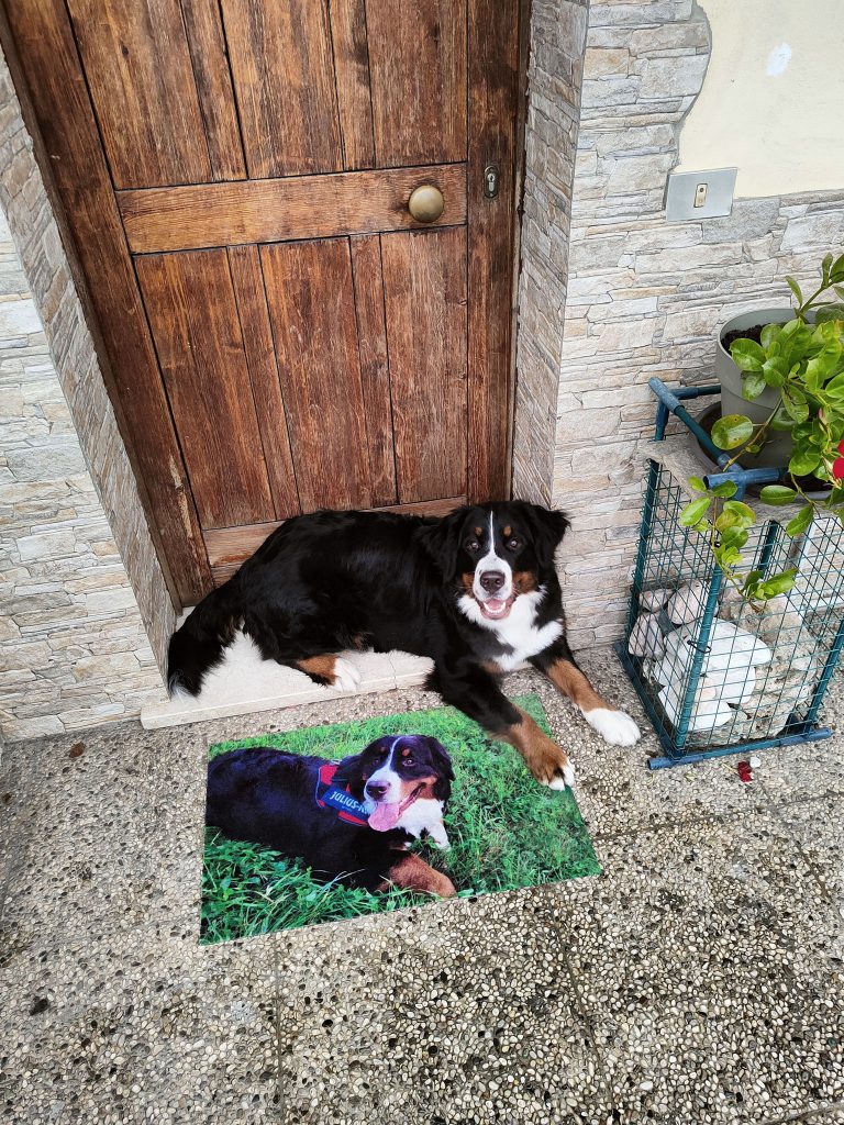 Asciugapassi fotografico Event Asciugapasso personalizzato con foto: EVENT