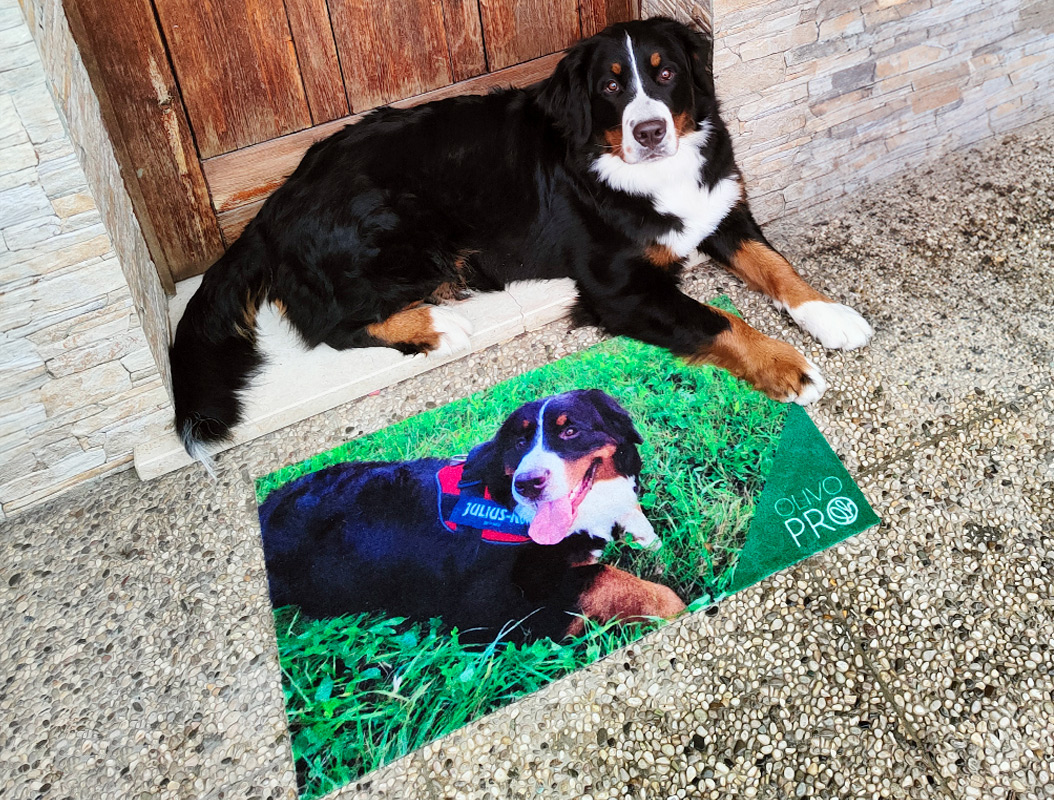 Tappeti fotorealistici e fotografici