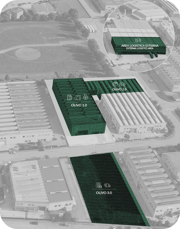 Olivo Pro by Olivo Group chi siamo